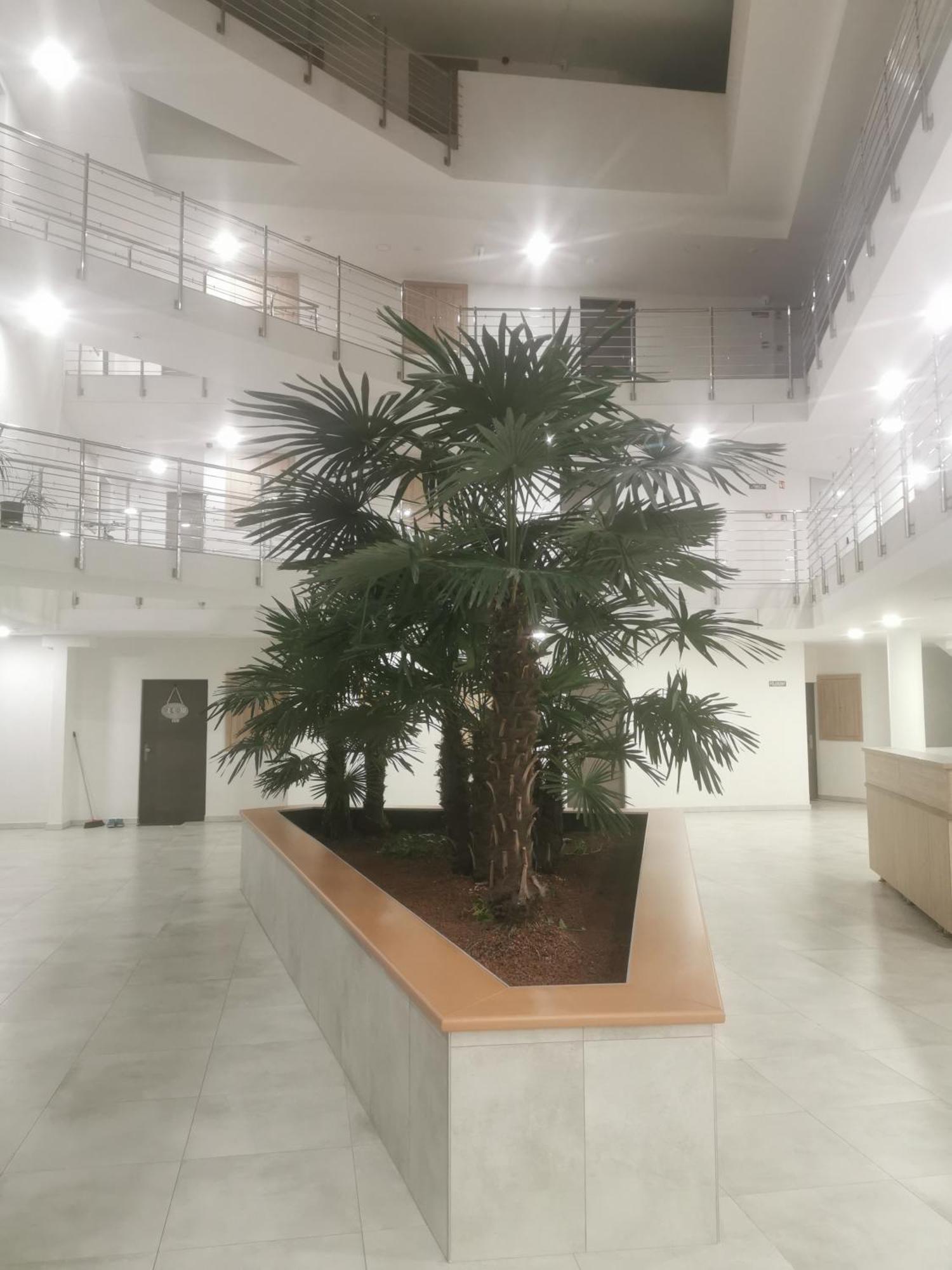 Beli Apartman Melygarazzsal Hévíz Екстериор снимка